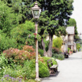 TREINSTATION SKATEBOARD