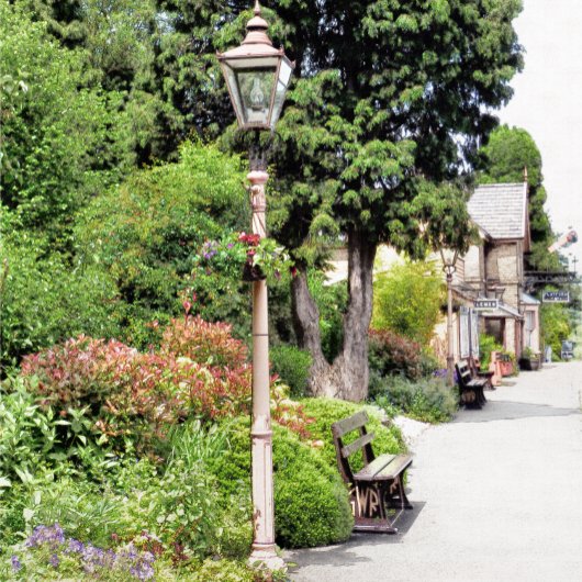 TREINSTATION SKATEBOARD