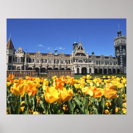Treinstation van Dunedin Poster (Voorkant)