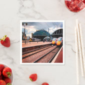 treinstation van Newcastle Servet (Insitu)