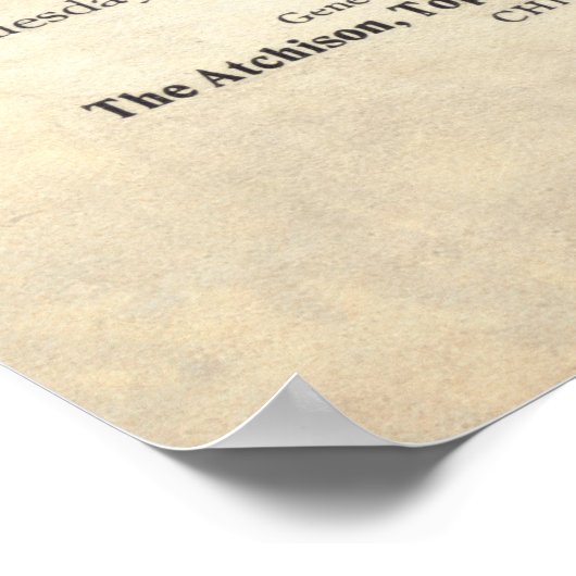  treinstuur vanaf 1899 poster (Hoek)