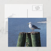 Trek aan de piloot briefkaart (Voorkant / Achterkant)