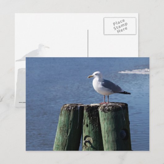 Trek aan de piloot briefkaart (Voorkant / Achterkant)