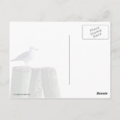 Trek aan de piloot briefkaart (Achterkant)