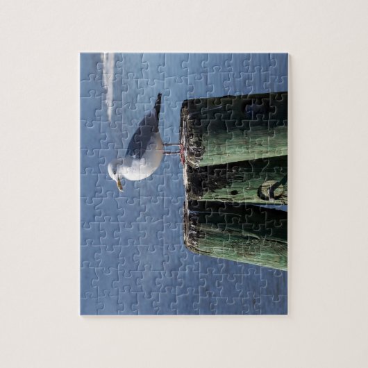 Trek aan de piloot legpuzzel (Verticaal)