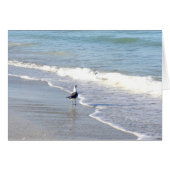 Trek in het Surf (Voorkant Horizontaal)