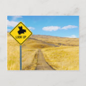 Trek uw ogen op voor varkens. briefkaart (Voorkant)