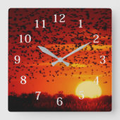 Trek van de Zwarte spreeuwen bij Quivira Vierkante Klok (Voorkant)