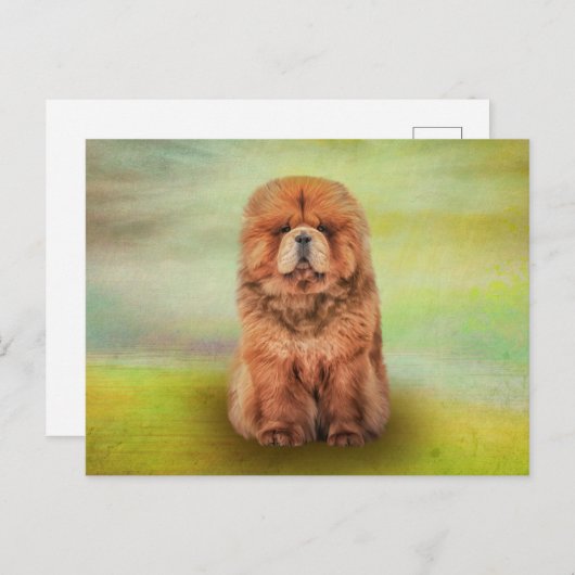 Trekhondenschow Briefkaart (Voorkant / Achterkant)