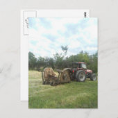 trekker in de zomer briefkaart (Voorkant / Achterkant)