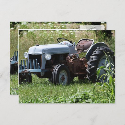 Trekker in een veld briefkaart (Voorkant / Achterkant)