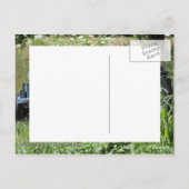 Trekker in een veld briefkaart (Achterkant)