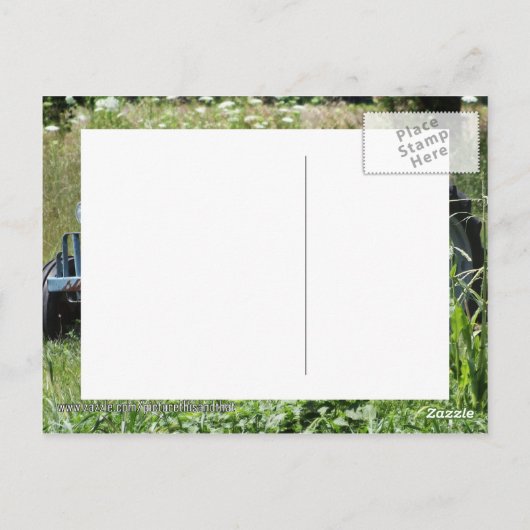 Trekker in een veld briefkaart (Achterkant)