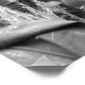 trekker in zwart-wit poster (Hoek)