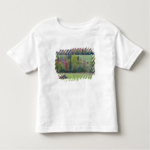 Trekker met hooibaal in groen veld met kinder shirts