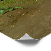 Trekker op de Tulpvelden Poster (Hoek)