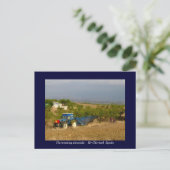 Trekkeramandelen op het platteland van Spanje Briefkaart (Staand voorkant)