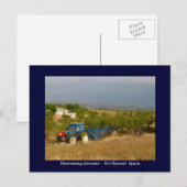 Trekkeramandelen op het platteland van Spanje Briefkaart (Voorkant / Achterkant)