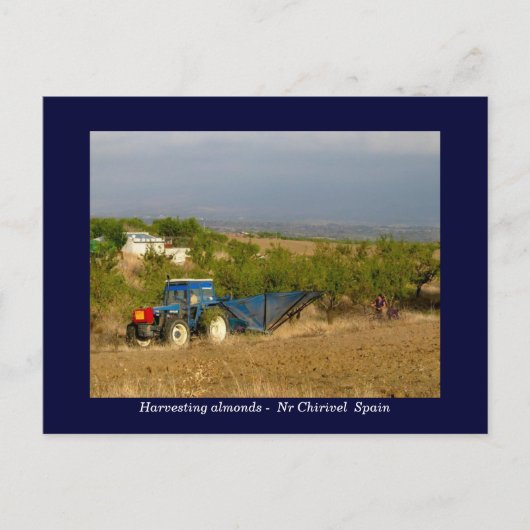 Trekkeramandelen op het platteland van Spanje Briefkaart (Voorkant)