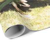  TREKKERS CADEAUPAPIER (Rol Hoek)