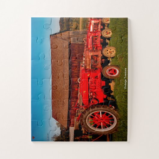  trekkers legpuzzel (Verticaal)