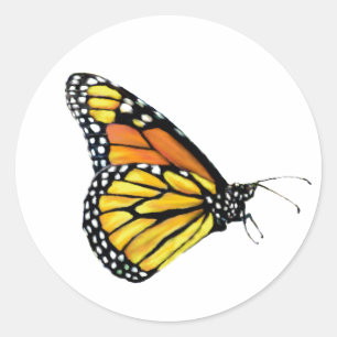 Trekkers Monarch uitzicht Ronde Sticker