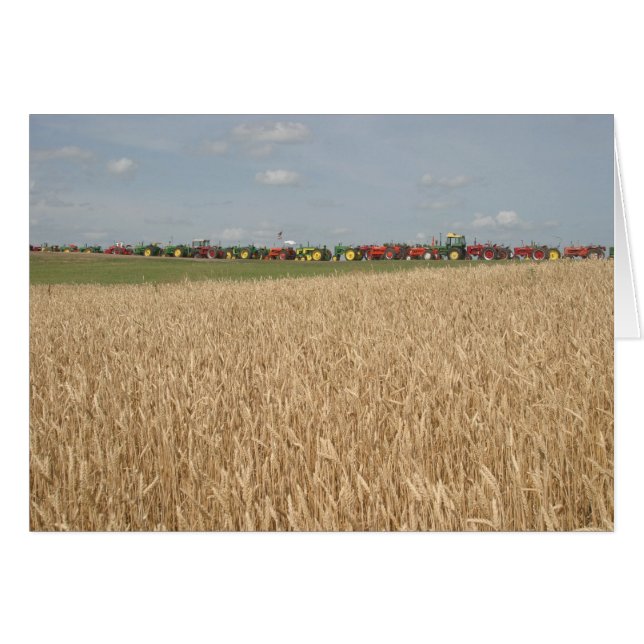 Trekkers op Wheat Field Card (Voorkant Horizontaal)