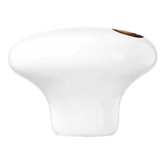  trekkerventilatorbak keramische knop (Zijkant)