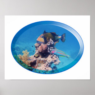 Trekkervis bij koraalrif - Fotografisch ontwerp    Poster