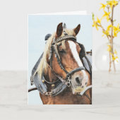 Trekpaard in harnas verjaardag kaart (Gele Bloem)