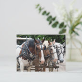 Trekpaard Team Bedankt Briefkaart (Staand voorkant)