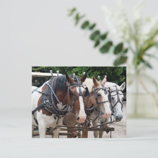 Trekpaard Team Bedankt Briefkaart (Staand voorkant)