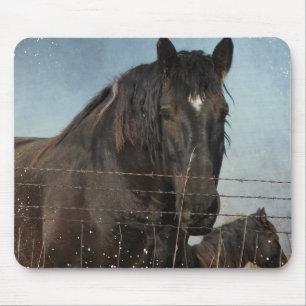 Trekpaarden in een weiland muismat
