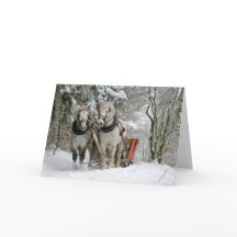 Trekpaarden Kerstmis