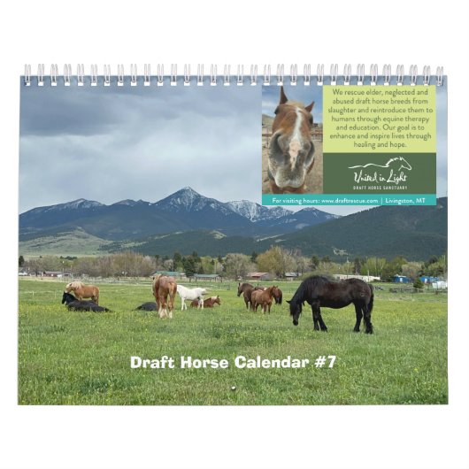 trekpaardenkalender kalender (Hoes)