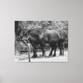 Trekpaardenrusting Canvas Afdruk (Voorkant)