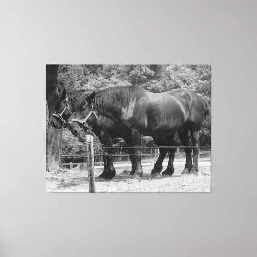 Trekpaardenrusting Canvas Afdruk (Voorkant)