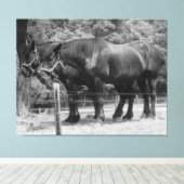Trekpaardenrusting Canvas Afdruk (Insitu (Houten vloer))