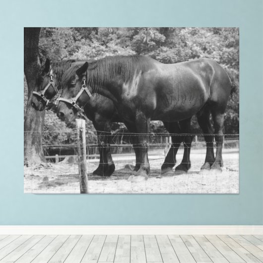 Trekpaardenrusting Canvas Afdruk (Insitu (Houten vloer))
