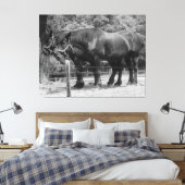 Trekpaardenrusting Canvas Afdruk (Insitu (Slaapkamer))
