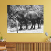 Trekpaardenrusting Canvas Afdruk (Insitu (Woonkamer))