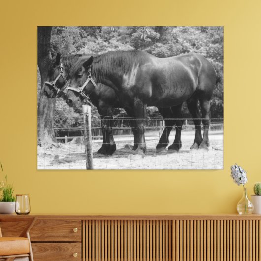Trekpaardenrusting Canvas Afdruk (Insitu (Woonkamer))