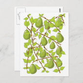 Trekperen Briefkaart (Voorkant / Achterkant)