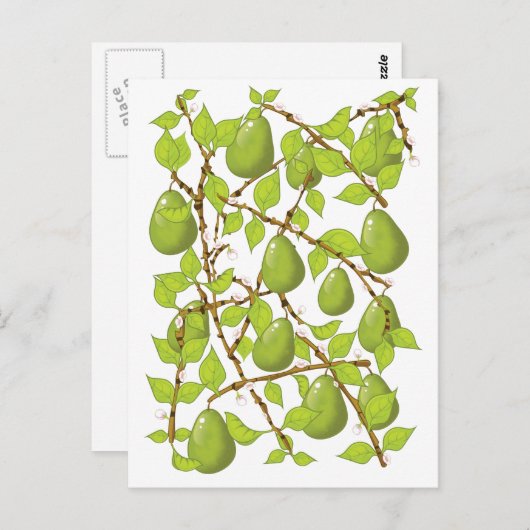 Trekperen Briefkaart (Voorkant / Achterkant)