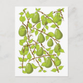 Trekperen Briefkaart (Voorkant)