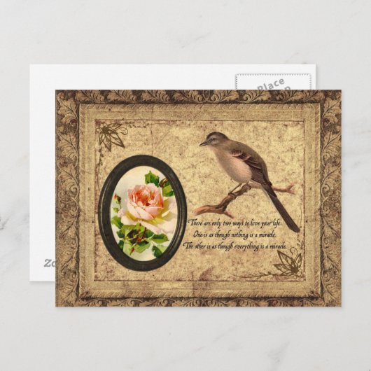  trekvogel briefkaart (Voorkant / Achterkant)