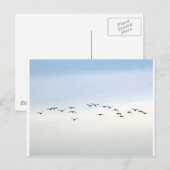 trekvogels briefkaart (Voorkant / Achterkant)