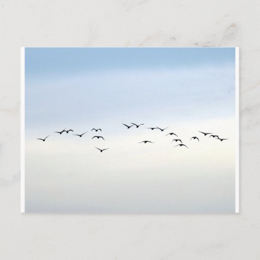 trekvogels briefkaart (Voorkant)