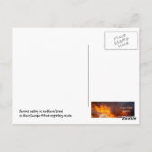 trekvogels in het Israëlische Briefkaart (Achterkant)