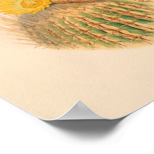 trekvogels Kunst vogeldruppelcactus Poster (Hoek)